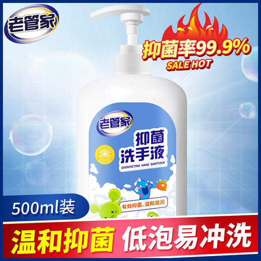 G| 老管家抑菌洗手液家用儿童宝宝成人通用型易洗非杀菌消毒500ml*2（普通快递） 商品图1