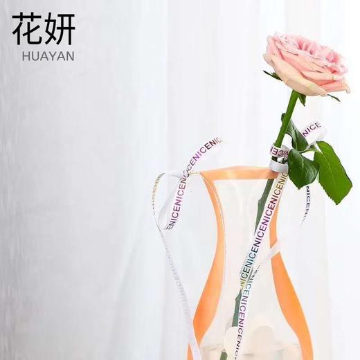 秒杀（单拍不发）3D折叠便携式塑料花瓶摆件客厅插花透明北欧ins创意挂件简约 商品图1