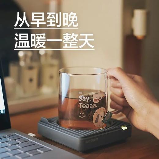 猫太推荐——北鼎保温杯垫 商品图1