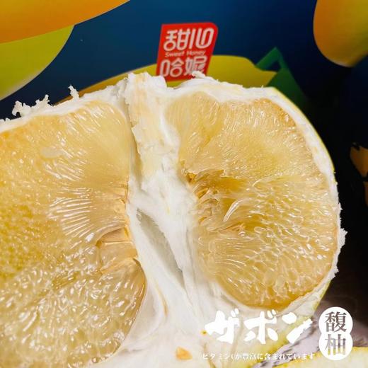 【推荐】云香柚 商品图1