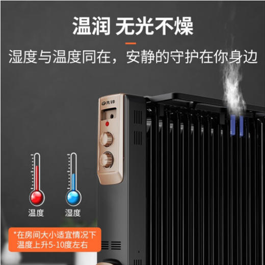 先锋电热油汀13片【DYT-Z9】 商品图2