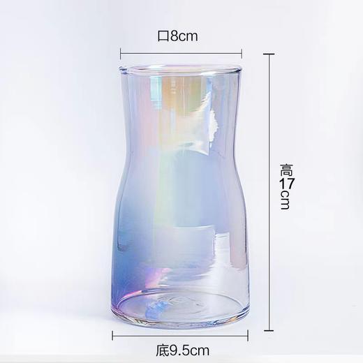 炫彩花瓶 (仅花瓶，不含鲜花) 商品图1
