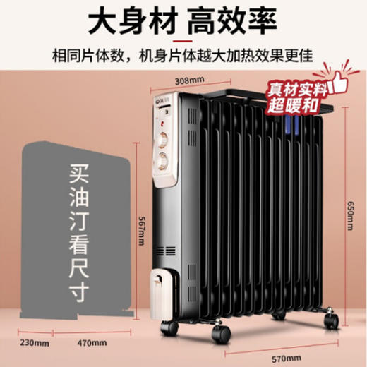 先锋电热油汀13片【DYT-Z9】 商品图1