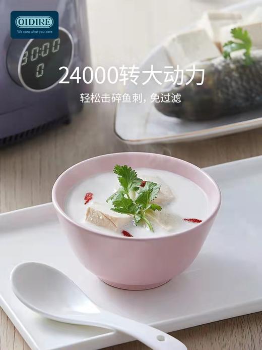 德国OIDIRE破壁机 商品图1