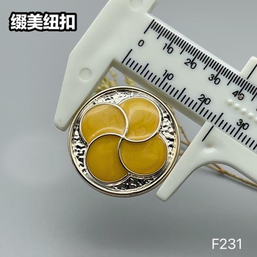 F231(整包购买) 商品图5