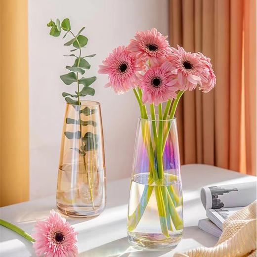 炫彩花瓶 (仅花瓶，不含鲜花) 商品图0