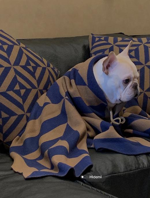 HIDEMI几何设计感印花抱枕 商品图1
