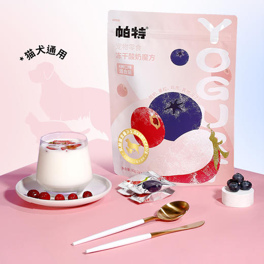 帕特 水果酸奶冻干 60g/80g/包 商品图4