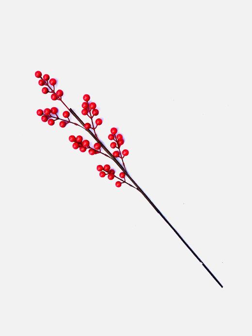 仿真年霄花桶材料蝴蝶兰秀球尤加利叶银杏金掌要求摇钱树孔雀毛柿子石榴黄金果五代同堂 商品图8