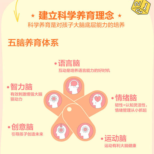 魏坤琳的科学养育宝典  Dr魏魏坤琳著 给孩子未来脑计划 家庭育儿 亲子教育 正版书籍中信出版集团 商品图2