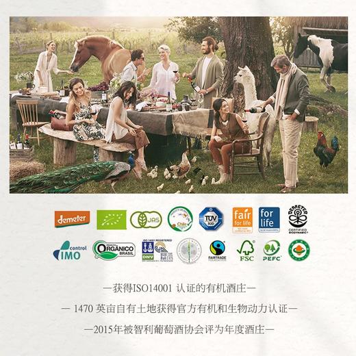 【世界葡萄酒品牌50强】极干红葡萄酒 智利原瓶原装进口 14.5%vol 商品图5
