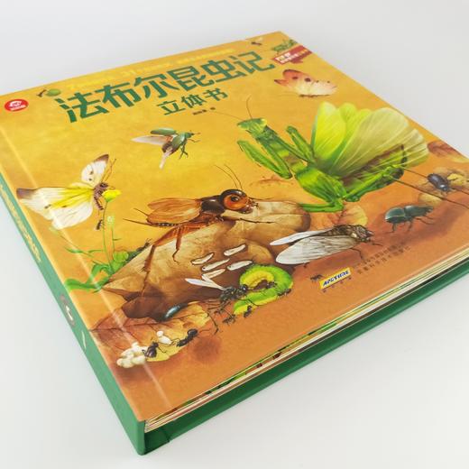 【3-6岁】法布尔昆虫记立体书儿童科普百科书呦呦童揭秘昆虫世界 商品图4