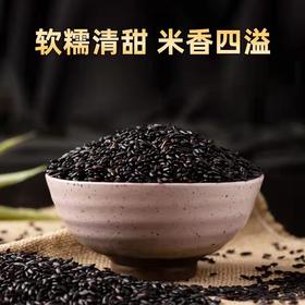 莲子黑米糯米糕•广式茶点，营养又好吃！