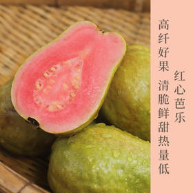 红心芭乐  高纤好果  硬吃脆甜  软吃软糯香甜   果肉绵密   包邮发出