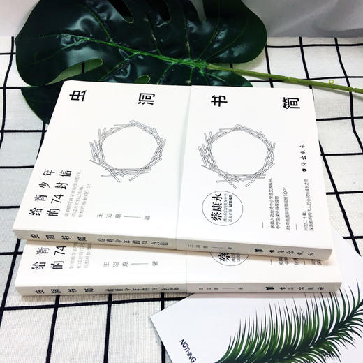 现货 虫洞书简 给青少年的74封信 王溢嘉著 中高考作文写作培训 蔡康永携15位语文教师 提升阅读写作应对作文 商品图2