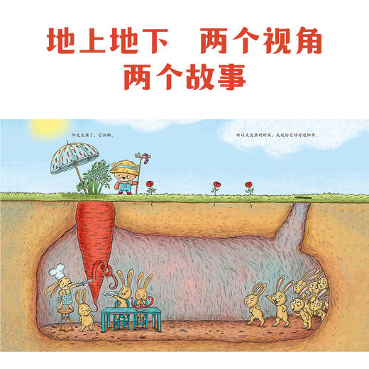 正版 你为什么不开花 卡塔琳娜玛卡诺娃 童书 儿童文学 亲子阅读 儿童故事书 儿童绘本 晚安故事书 亲子阅读 中信 商品图2