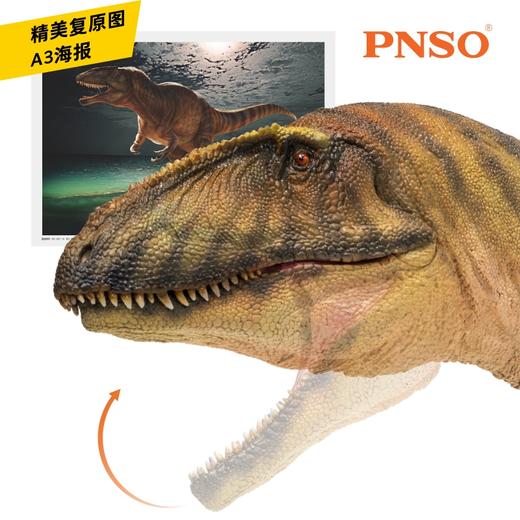 PNSO鲨齿龙甘巴恐龙大王成长陪伴模型50 商品图2