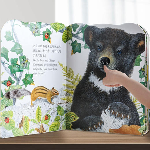 亮丽精美触摸书幼儿早教小兔比利儿童启蒙洞洞翻翻婴儿宝宝益智触感刺激0-3岁早教认知幼儿阅读绘本 商品图1
