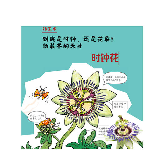 世界上绿绿的植物书（珍藏版）我超喜欢的趣味科学书 黄美罗著 7-10岁 韩国经典少儿趣味科普书 中信出版集团 商品图4