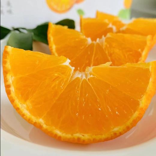 熟透了！可以吸的橙子 皮薄多汁 果肉细腻 | 爱媛果冻橙 大果礼盒5斤装 [福利品] 商品图1