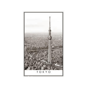 【折扣商品 不退不换】1000片平面拼图 塑料拼图 H2613 黑与白系列-城市风景,东京