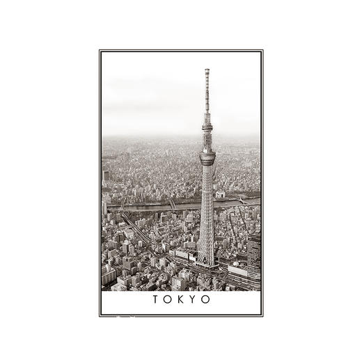 【折扣商品 不退不换】1000片平面拼图 塑料拼图 H2613 黑与白系列-城市风景,东京 商品图0