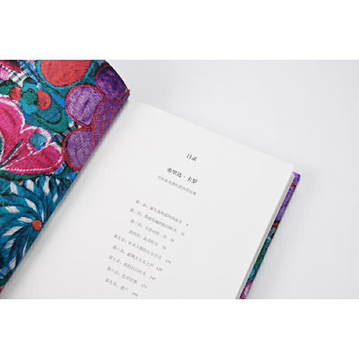 焦点艺术丛书 弗里达卡罗 用苦难浇灌的墨西哥玫瑰 140张珍贵图片揭秘弗里达传奇秘事 商品图3