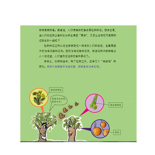 世界上绿绿的植物书（珍藏版）我超喜欢的趣味科学书 黄美罗著 7-10岁 韩国经典少儿趣味科普书 中信出版集团 商品图3