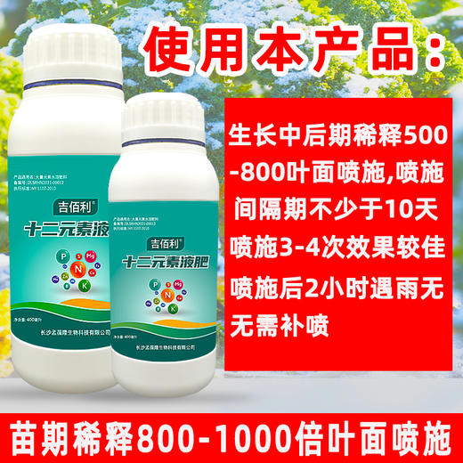 十二元素液肥 大中微量元素水溶肥 蔬菜果树用料叶面肥 商品图3