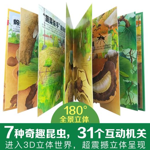 【3-6岁】法布尔昆虫记立体书儿童科普百科书呦呦童揭秘昆虫世界 商品图2