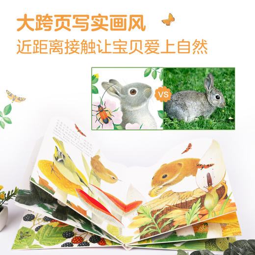 亮丽精美触摸书幼儿早教小兔比利儿童启蒙洞洞翻翻婴儿宝宝益智触感刺激0-3岁早教认知幼儿阅读绘本 商品图2