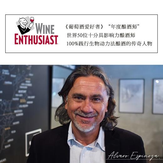 【世界葡萄酒品牌50强】极干红葡萄酒 智利原瓶原装进口 14.5%vol 商品图6