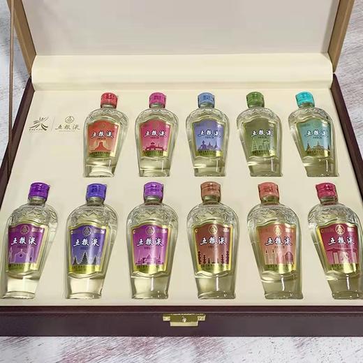 五粮液东盟博览会纪念酒 50ml*11 商品图1