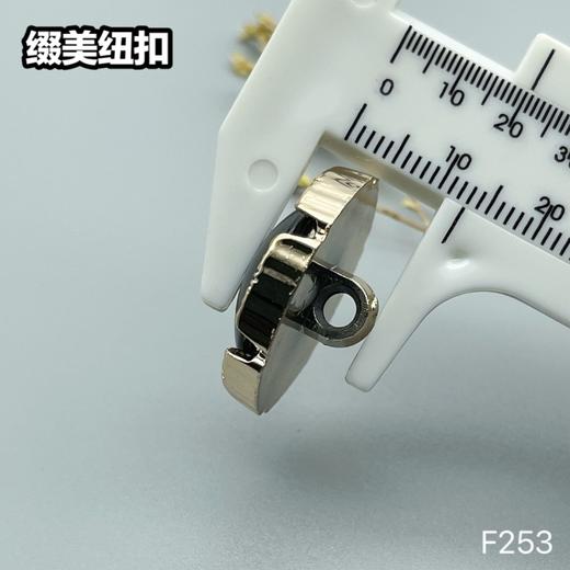 F253(整包购买) 商品图4