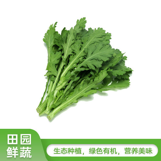 茼蒿250g 商品图0