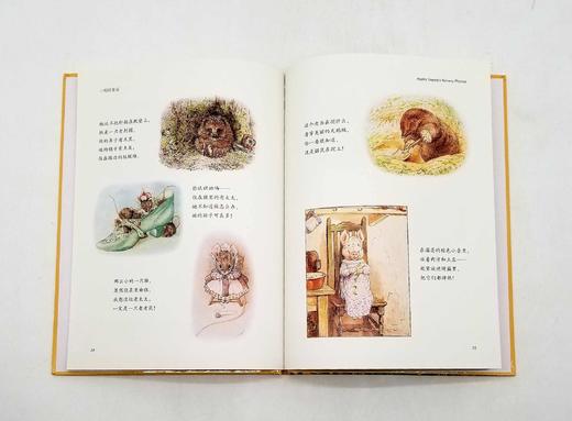 《彼得兔绘本系列》，精装16开本，全12册 商品图9