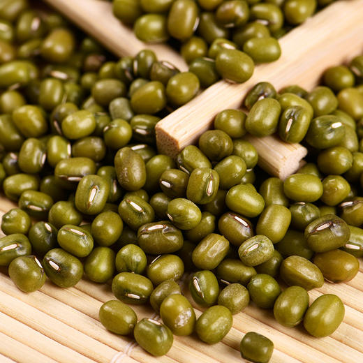 包邮 | 环县老绿豆  颗粒饱满 精挑细选 原种播撒 软糯清香 商品图2
