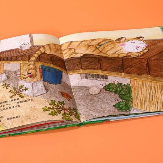 发现小幸福系列绘本（4册） 商品图10