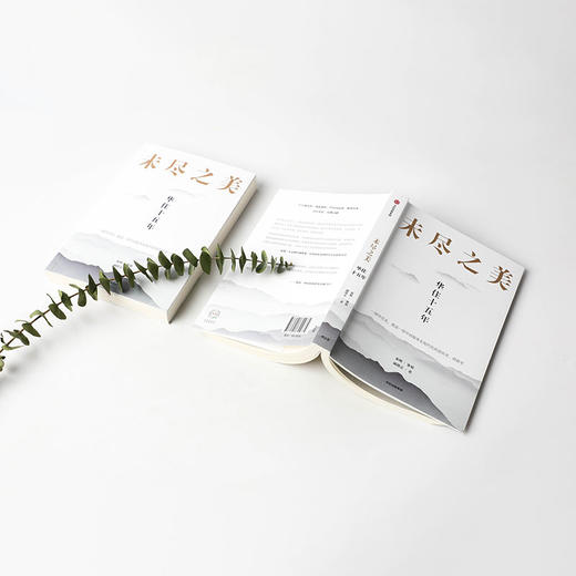 未尽之美 华住十五年秦朔 策划 戚德志 著  华住官方授权 企业管理 华住传记企业哲学管理思想 服务业创新 中信 商品图3