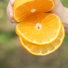 熟透了！可以吸的橙子 皮薄多汁 果肉细腻 | 爱媛果冻橙 大果礼盒5斤装 [福利品] 商品缩略图3