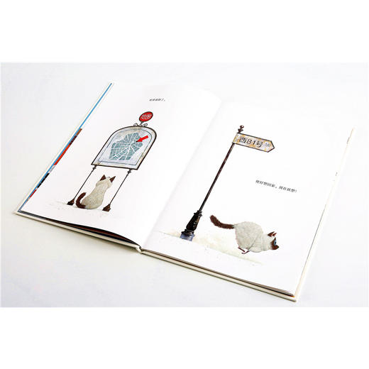 【3-8岁】哈里的新家 遇见 里奥提莫斯儿童绘本系列 里奥提莫斯 著 中信出版社童书 精品绘本 正版书籍 商品图4