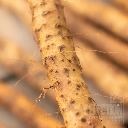 河南焦作温县产垆土铁棍山药单支长50cm以上 中通/顺丰快递 商品图7