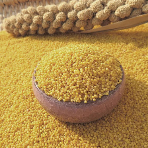 2025新【黄小米】口感香醇，49.9元5斤！ 商品图1