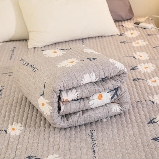 【品牌直发】【Rainbow】彩虹电热毯（长1.8米*宽1.5米）双控双温电热毯双人单面纯棉  1558/1588【花色随机】 商品图4