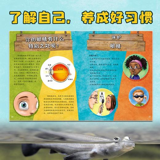 如果你有动物的尾巴全3册 3-6岁儿童趣味动物小百科全书绘本 幼儿园认知启蒙知识故事书籍认识图画书 中信 商品图4