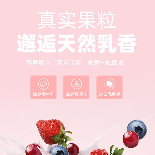 帕特 水果酸奶冻干 60g/80g/包 商品图1