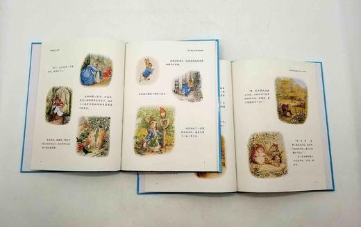 《彼得兔绘本系列》，精装16开本，全12册 商品图3