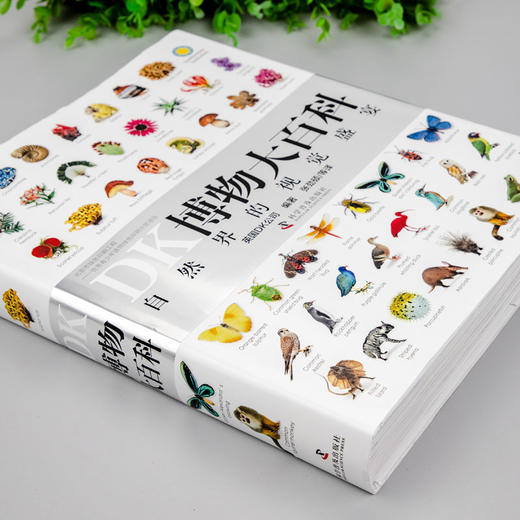DK博物大百科 自然界的视觉盛宴中文版 精装硬壳 dk儿童百科 商品图3