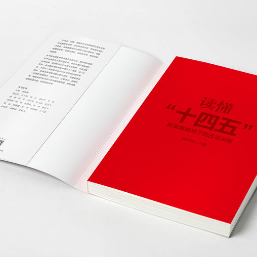 读懂十四五 新发展格局下的改革议程 刘世锦 著 深入解读十四五 智库精选读本 中信出版社 正版 商品图2