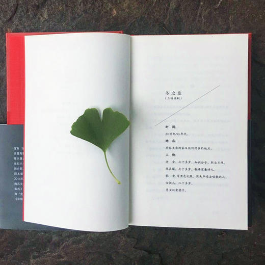 冬之旅 万方剧本精选集 万方著  曹禺先生诞辰110周年特别行动 日出 新原野 北京人 雷雨两代人的作品 商品图3